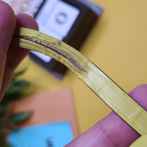 GREAT CONDITION LOUIS VUITTON LV PISTACHE YELLOW GREEN LIME LEATHER CLOCHETTE KE - Picture 9 of 10